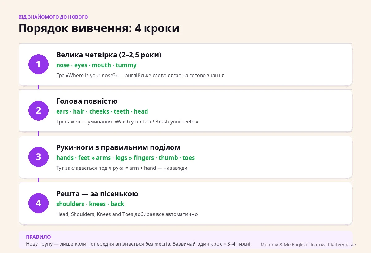 Частини тіла англійською для дітей — порядок вивчення у 4 кроки від великої четвірки nose eyes mouth tummy до пісеньки