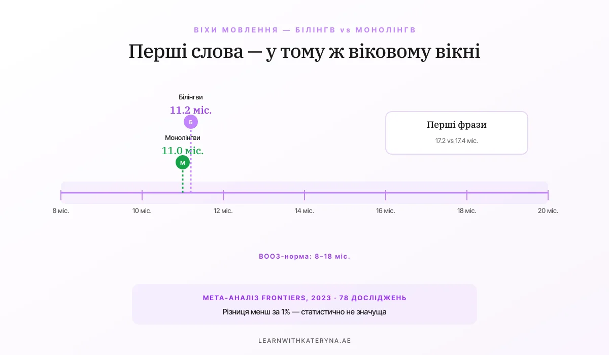 Перші слова: білінгви vs монолінгви — таймлайн ВООЗ