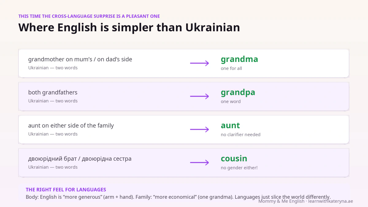 Where English is simpler than Ukrainian in the family topic — one grandma for both grandmothers, genderless cousin