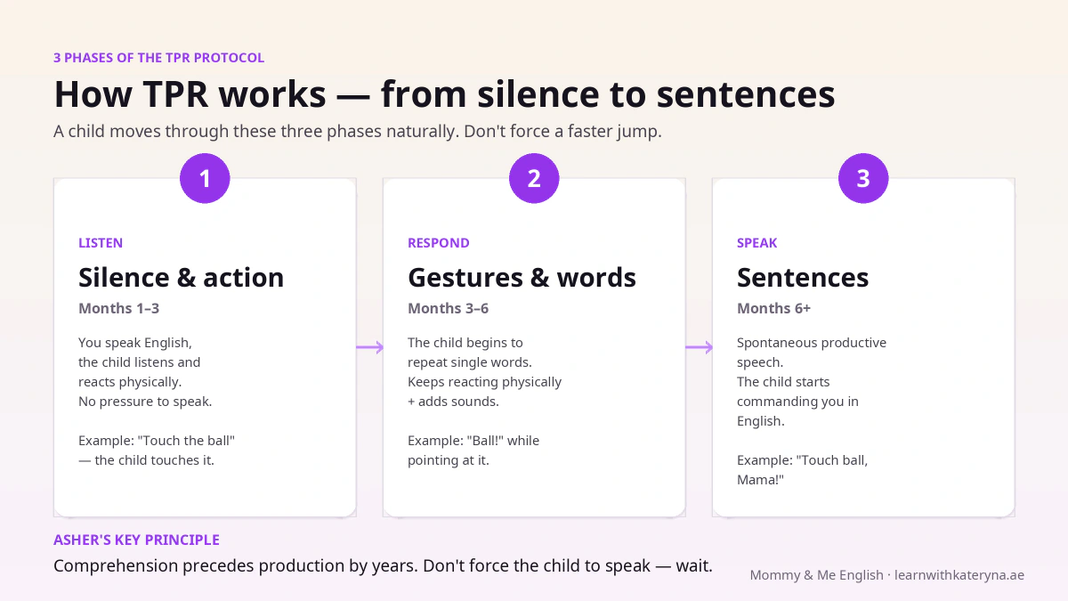The 3 phases of the TPR protocol — Listen, Respond, Speak — for kids 1-5